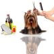 Grooming, lemmiklooma hooldus - karvapulstide pügamine, küünte lõikus ning kõrvade puhastamine.
